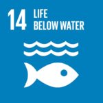 SDG 14