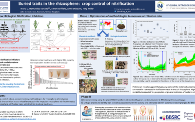 Buried traits in the rhizosphere: crop control of nitrification