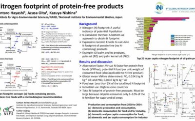 Nitrogen footprint of protein-free products