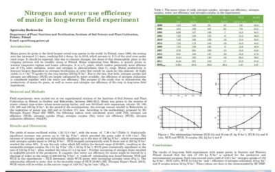 Nitrogen and water use efficiency of maize
