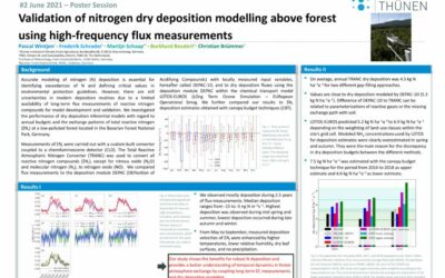 Validation of nitrogen dry deposition modelling above forest