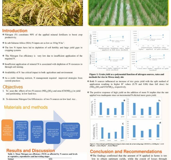 Exploring the Impact of Nitrogen Sources on Yield