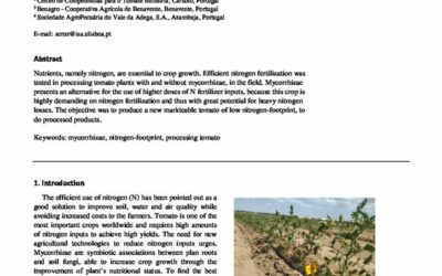 Changes in nitrogen agricultural practices to increase farm sustainability – tomato production