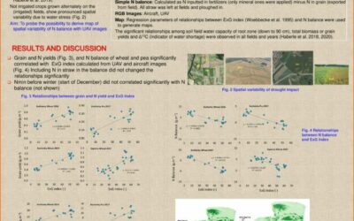 Indices of crop water stress from uav images