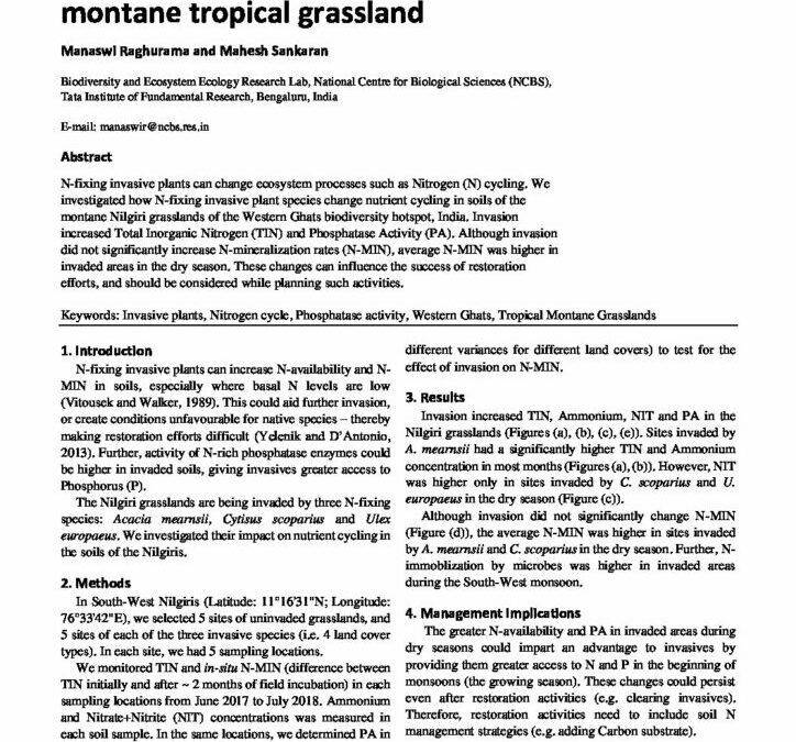 Impacts of invasive plants on Nitrogen cycling in a montane tropical grassland