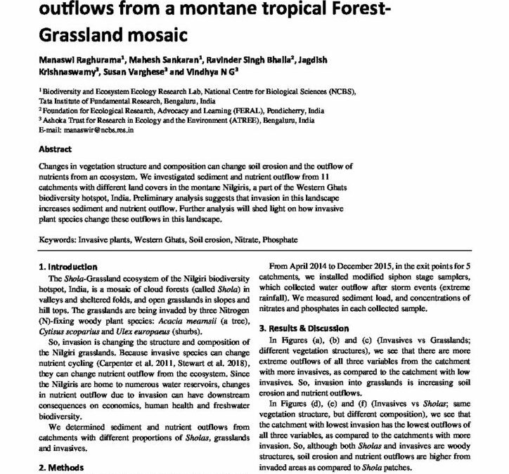 Effects of vegetation structure on nutrient outflows from a montane tropical Forest Grassland mosaic