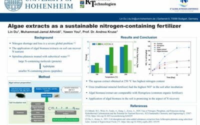 Algae extracts as a sustainable nitrogen-containing fertilizer