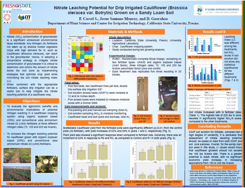 Nitrate Leaching Potential for Drip Irrigated Cauliflower