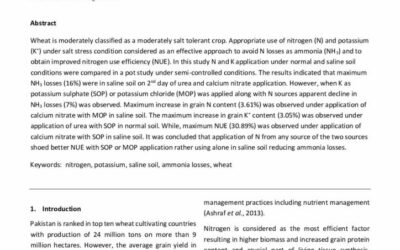 Interactive effect of nitrogen and potassium on nitrogen use efficiency in wheat