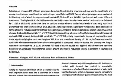 Root system architecture variability and nitrate reductase activity in wheat genotypes for nitrogen use efficiency