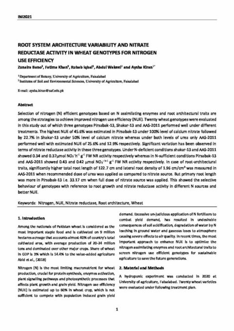Root system architecture variability and nitrate reductase activity in ...