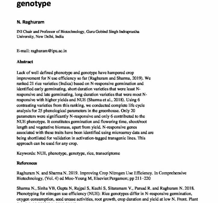 Improving plant NUE: From phenotype to genotype