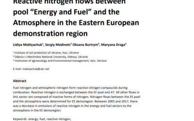 Reactive nitrogen flows between pool “Energy and Fuel” and the Atmosphere in the Eastern European demonstration region